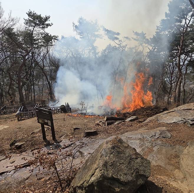 12일 오전 수원시 팔달구 팔달공원 일대에서 방화로 인한 산불이 발생해 불길과 연기가 솟구치고 있다. 사진=경기도소방재난본부
