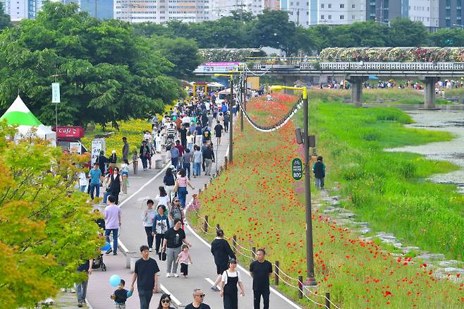 지난해 열린 장성 황룡강 길동무 꽃길축제. /장성군 제공