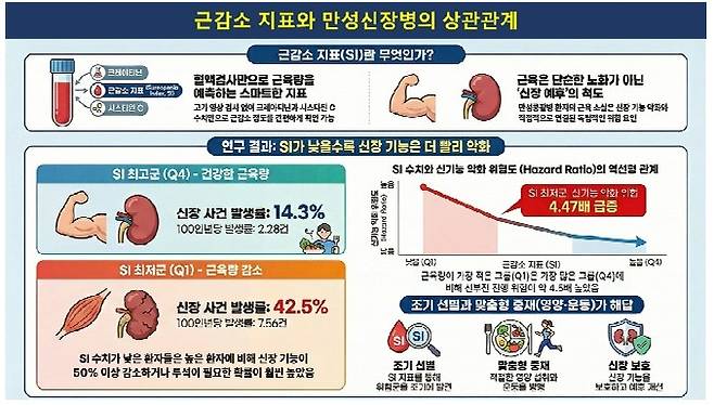 근감소 지표와 만성신장병 진행 위험의 연관성 요약도