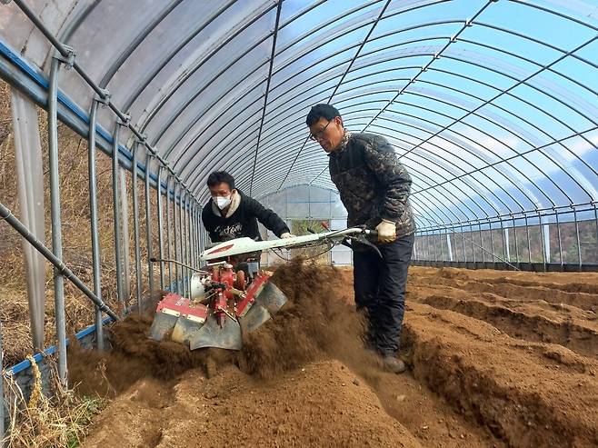 생전의 광이(왼쪽 마스크 낀 사람) 형제가 편치 않은 몸에도 불구하고 온 힘을 다해 농사 일을 돕던 모습을 기억한다. /이주연 목사
