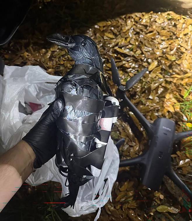 지난9일(현지시간) 미국 텍사스에서 드론을 이용해 마약 등의 밀수품이 담긴 플라스틱 까마귀 모형을 루이지애나주 연방 교도소로 반입하려던 여성 두 명이 체포됐다. 사진 그랜트 파리쉬 보안관 사무소 페이스북 캡처