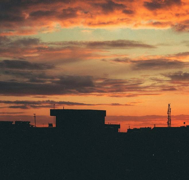 사진 출처. unsplash