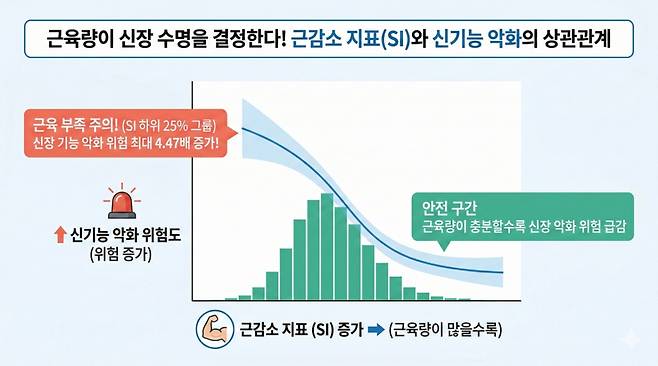 근감소 지표(SI)와 신장 기능 악화 위험의 상관관계./사진=질병관리청