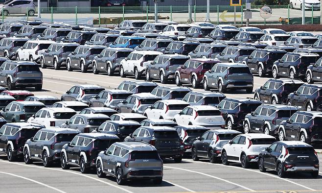 경기도 평택항에 전기차 등 수출용 차량이 세워져 있다.[연합]