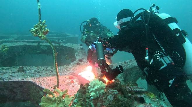 지난해 7월 25일 경북 포항 연안 바다에서 청년희망터 단체 ‘오션캠퍼스’가 해양환경 복원 활동을 펼치고 있다. 삼성생명 제공
