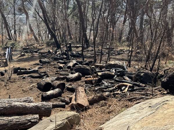 수원 팔달산 산불 현장. 2026.03.13 /마주영기자 mango@kyeongin.com