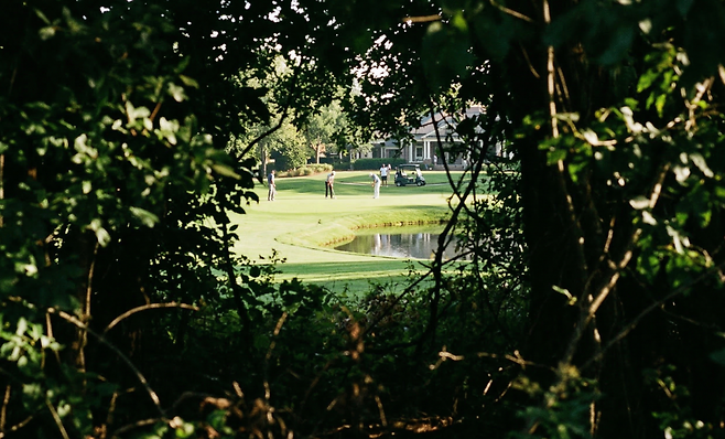 (출처=제미나이 나노바나나 생성)