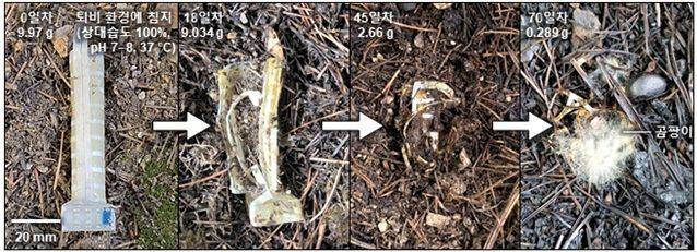 소프트 로봇 손가락의 생분해 과정. 연구팀 제공