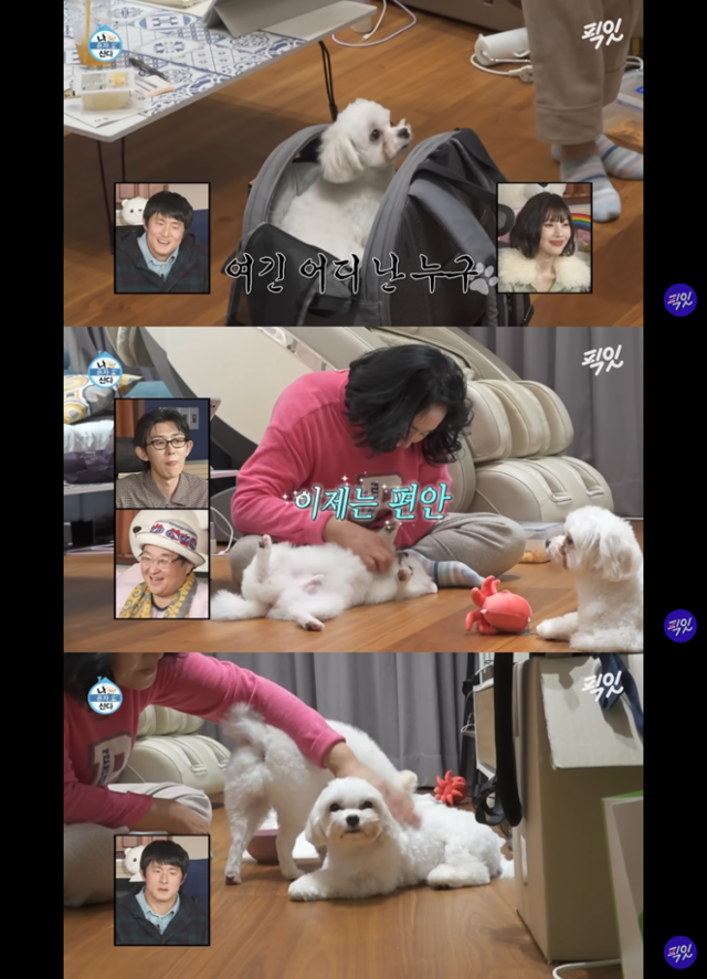 유튜브채널 픽잇 캡처