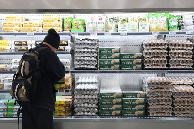 고병원성 조류인플루엔자(AI) 확산 여파가 살처분 확대와 생산량 감소로 이어지면서 계란 가격이 상승하던 10일 서울의 한 대형마트를 찾은 고객이 계란을 살펴보고 있다. 뉴스1