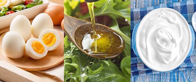 의사 출신 사업가 양혁진 대표가 유튜브 채널 ‘양닥터’를 통해​ 달걀과 유산균, 올리브오일을 먹는 최적의 순서를 제시했다. /사진=클립아트코리아