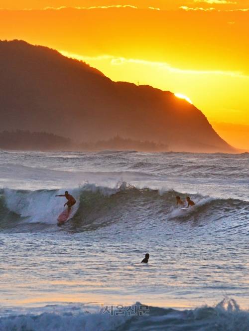 오아후섬의 퍼블릭 비치에서 서핑을 즐기는 주민.