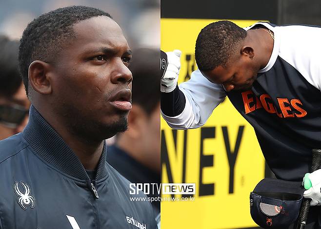 ▲ 페라자 ⓒ곽혜미 기자