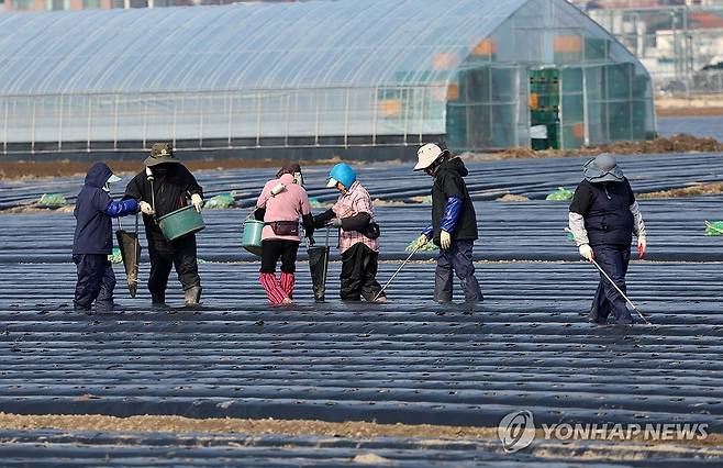 외국인 계절 근로자 [연합뉴스 자료사진]