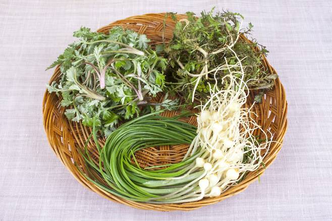 제철 봄나물은 비타민과 미네랄을 보충해 활력을 되찾는 데 도움이 된다. 사진=클립아트코리아