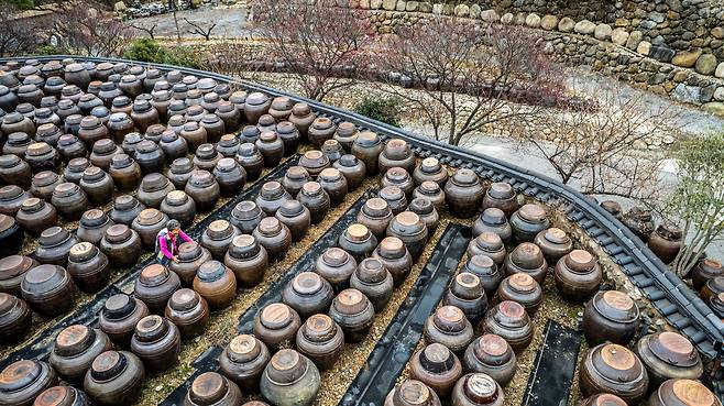2000여 개의 옹기가 있는 장독대도 '청매실농원'의 명물이다. 가까이 가면 매실향이 바람에 은은하게 실려온다. / 이신영 영상미디어 기자