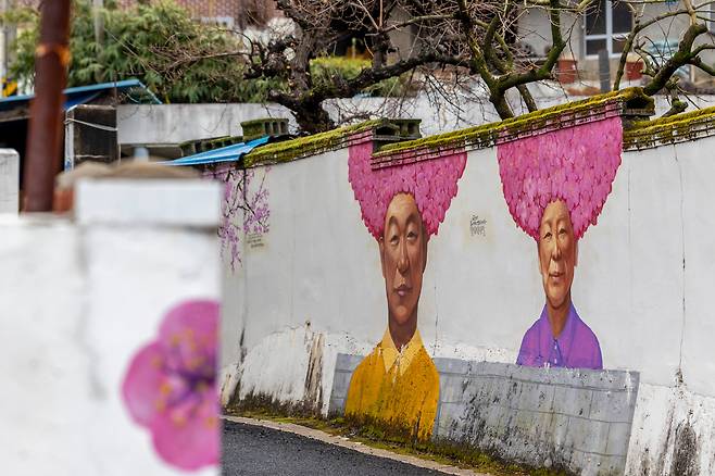 재미있는 벽화가 이어지는 광양매화마을의 탐방로. 매화가 만개할쯤 광양매화마을은 골목골목 예쁜 풍경 천지다. / 이신영 영상미디어 기자