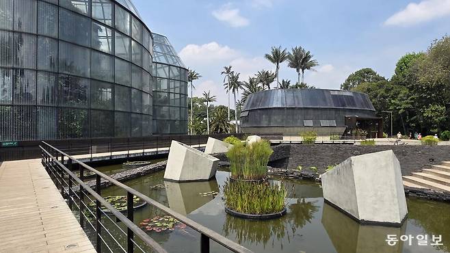 6개 모듈로 구성된 보고타 식물원 유리 온실.
