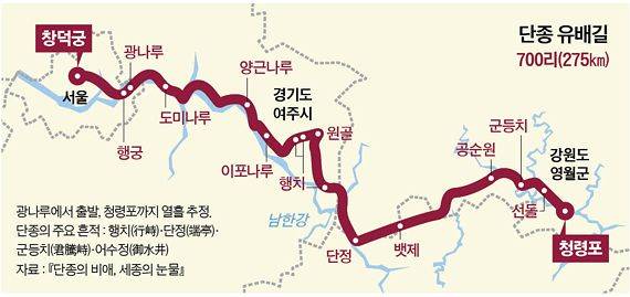 그래픽=남미가 기자