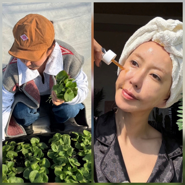 S.E.S 출신 슈가 병풀에 대한 애정을 드러내며 근황을 전했다.사진=슈 SNS