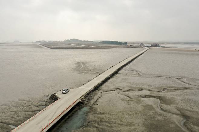 신안 증도 화도와 칠면초