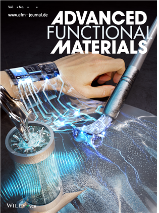 국제 학술지 어드밴스드 펑셔널 머티리얼즈 후면표지. KAIST 제공