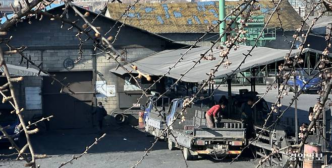 동두천시 동두천동의 연탄 제조공장 ‘동원연탄’에서 연탄 판매업자들이 1천여장만 운반 가능한 1.5t짜리 포터트럭에 연탄을 싣고 있다. 2026.1.5 /목은수기자wood@kyeongin.com