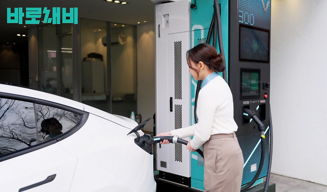 사진: 채비 제공