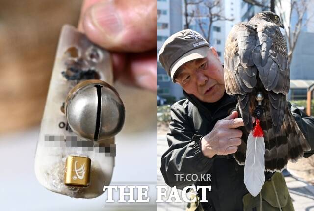 '시치미'는 매의 꼬리에 다는 작은 표식으로, 12개의 꼬리깃 중간 6,7번에 단다. 요즘은 시치미에 전자 위치추적기를 부착해 매를 추적하는 데 사용한다. '시치미 떼다'는 여기서 비롯된 말이다.