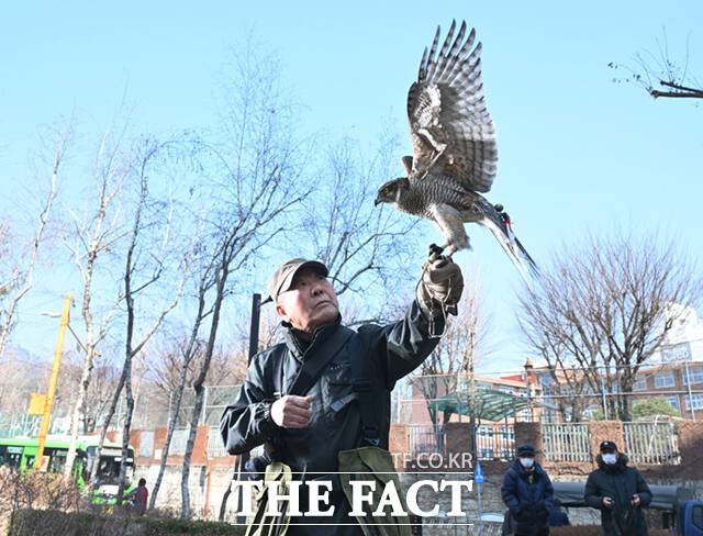 매와 '교감'의 시간을 보내고, 매가 불행함 없이 있는 모습 그대로 자연으로 돌려보내는 것 역시 매꾼의 자세다.