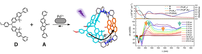 전남대 연구팀 개요도.