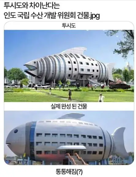 IMG_4144.jpeg 원래 설계보다 뚱뚱해진 건물