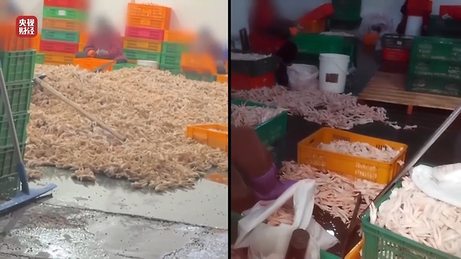 중국 CCTV 고발 식품가공공장. [CCTV 캡처.]