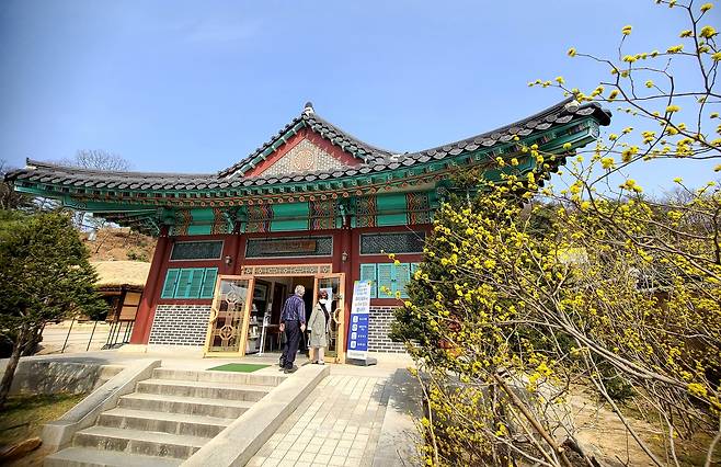 춘천 김유정문학관의 노란동백