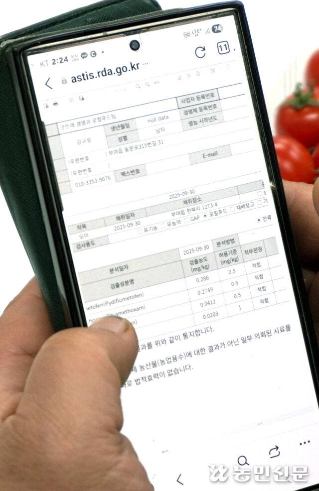 스마트폰으로 ‘농업과학기술정보서비스(ASTIS)’를 이용해 과거 농산물 안전성 분석 결과를 조회하고 있다.