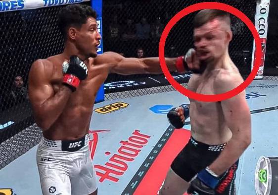 훅을 맞는 해리 하드윅(오른쪽)./사진=더선 갈무리