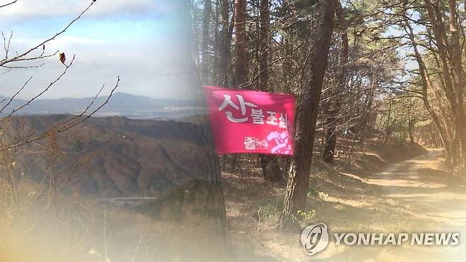 산불 조심 (CG) [연합뉴스TV 제공]