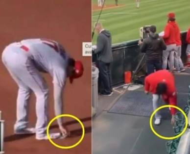 사진|온라인커뮤니티캡처