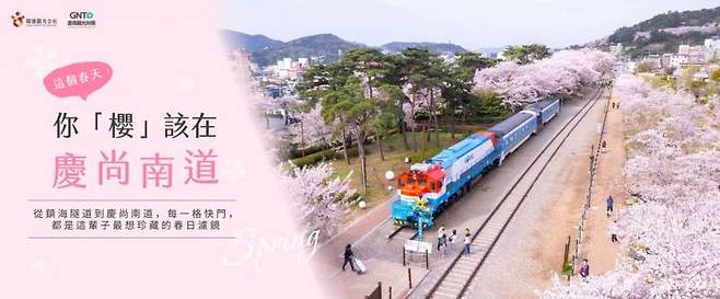 경남 봄꽃관광 캠페인 이미지. 사진 한국관광공사