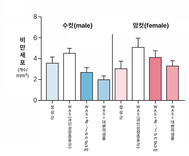 과민성장증후군 실험쥐에 미생물 기반 치료 시 효과. 수컷 쥐(파란색)에서 비만세포 감소가 암컷(빨간색)보다 두드러진다./사진=분당서울대병원 제공