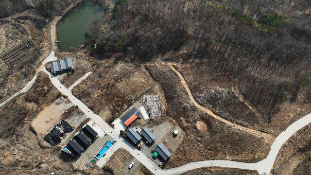 경북 영덕의 한옥 펜션 인근 숲이 산불 발생 후 1년이 지난 16일까지도 새까맣게 그을려 있다. 영덕=김지훈 기자