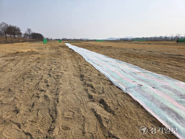 여주시 대신면 남한강변에 조성된 대신파크골프장 전경. 지난 13일부터 시범 운영에 들어갔지만 잔디가 활착되지 않아 마사토로 덮여 있다. 유진동기자