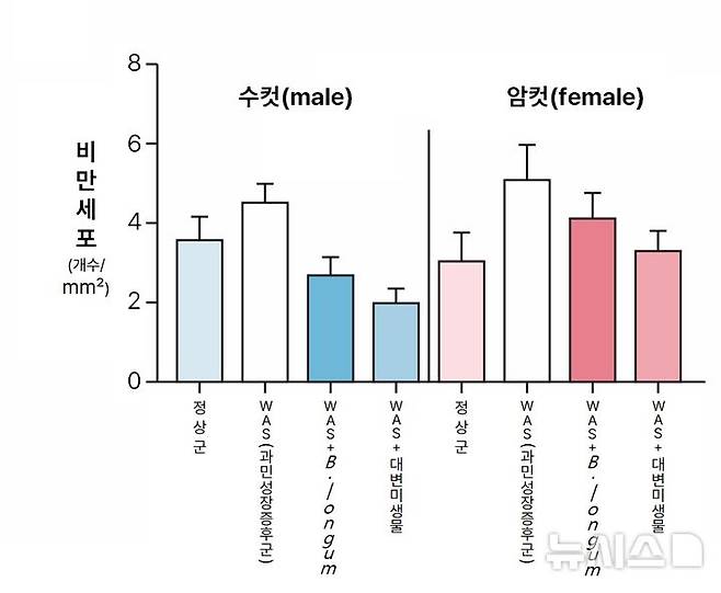 [서울=뉴시스] 과민성장증후군 실험쥐에 미생물 기반 치료 시 효과. 수컷 쥐(파란색)에서 비만세포 감소가 암컷(빨간색)보다 두드러진다. (사진= 분당서울대병원 제공)