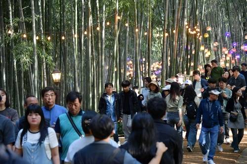 담양 대나무축제 [담양군 제공. 재판매 및 DB 금지]