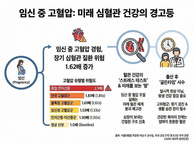 임신 중 고혈압 유형별 위험도 비교표. 제미나이를 이용해 생성한 AI인포그래픽.