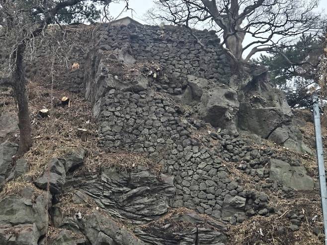 제주성지 수목정비 후 드러난 여장시설. 제주도 제공