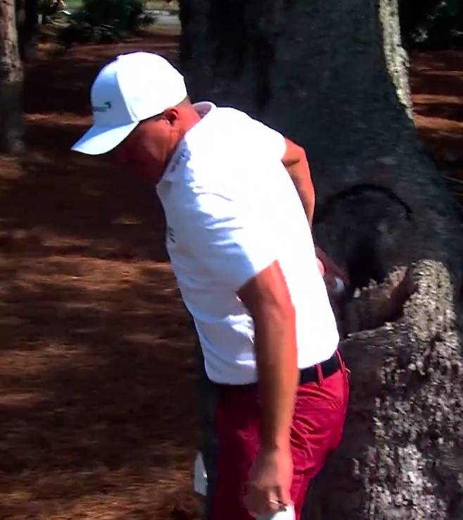 케빈 로이가 지난 16일 열린 PGA투어 플레이어스 챔피언십 최종 라운드 도중 나무 구멍으로 들어간 자신의 공을 꺼내고 있다. SNS 캡처