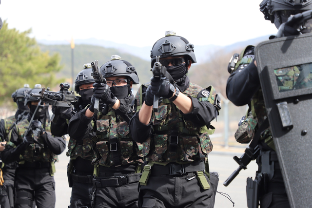 위 사진은 50사단이 통합방위훈련을 진행하는 모습. 대구일보 DB