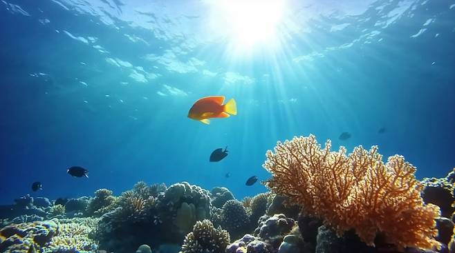 (출처=모션엘리먼츠)