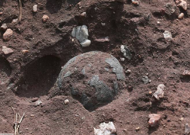 화성시 송산면 고정리에서 발견된 공룡알 화석.(사진=화성시)